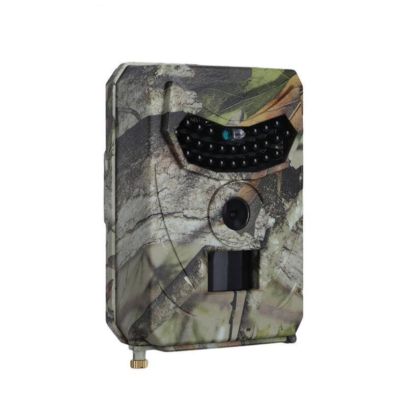 Sauvage Chasse Chasse Caméra