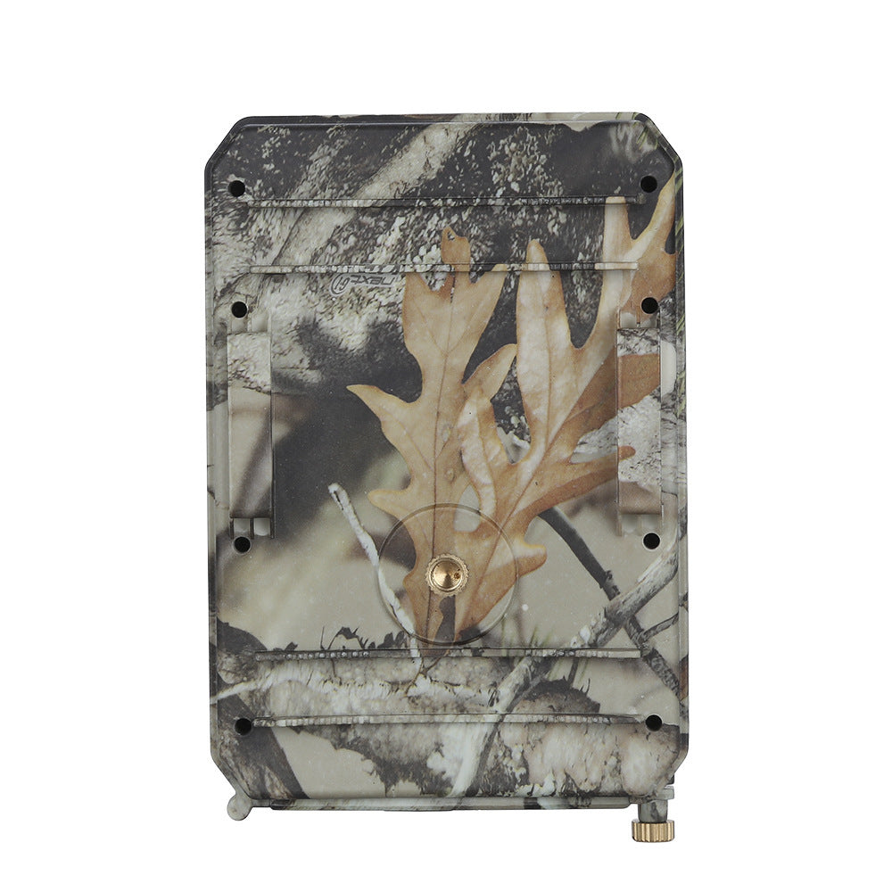 Sauvage Chasse Chasse Caméra