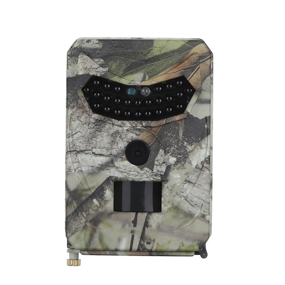 Sauvage Chasse Chasse Caméra