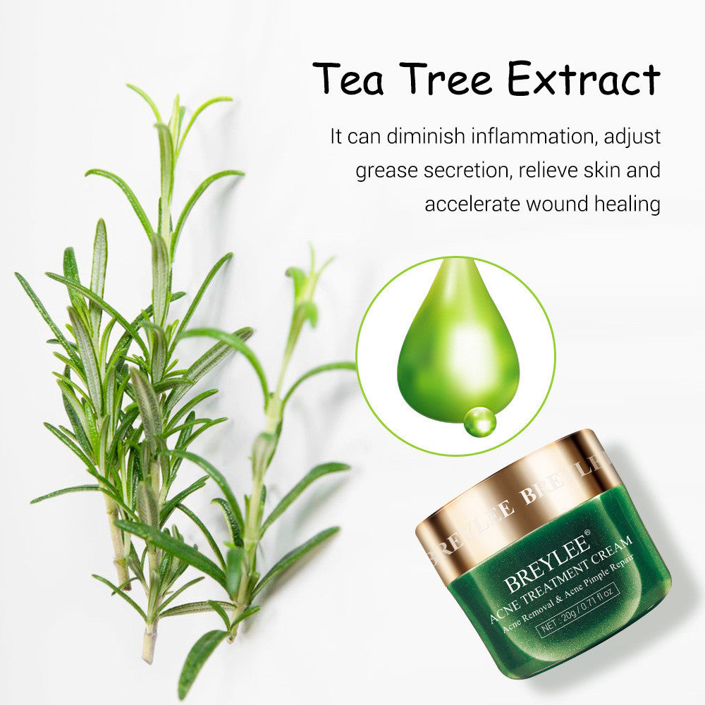 BREYLEE arbre à thé acné crème hydratante acné cicatrices cicatrice Essence crème